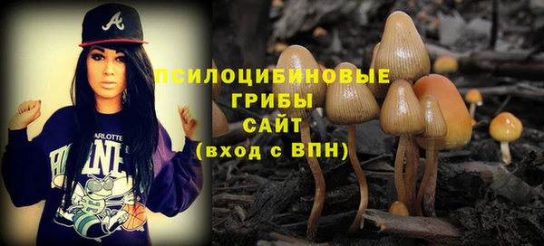 ALPHA PVP Краснослободск