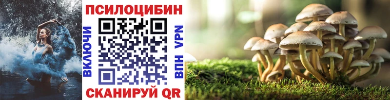 Галлюциногенные грибы GOLDEN TEACHER Купить где Бахчисарай
